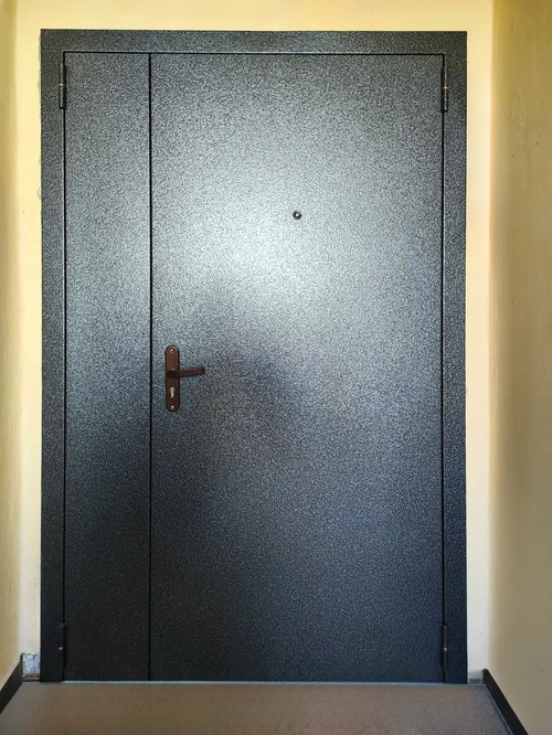 Дверь для тамбура (порошок и ламинат)