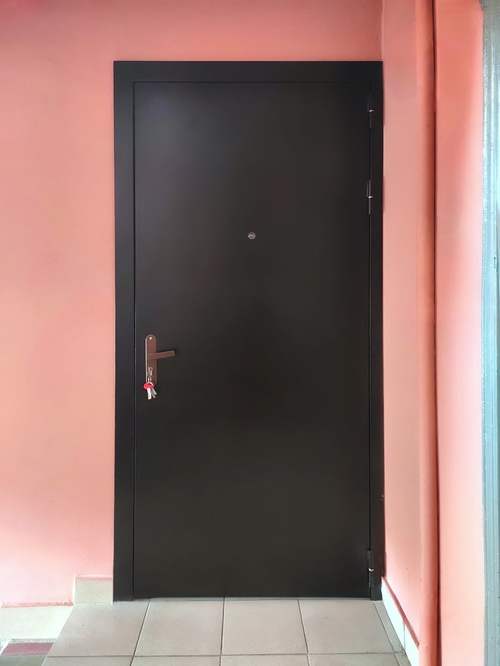 Дверь с порошковым окрасом