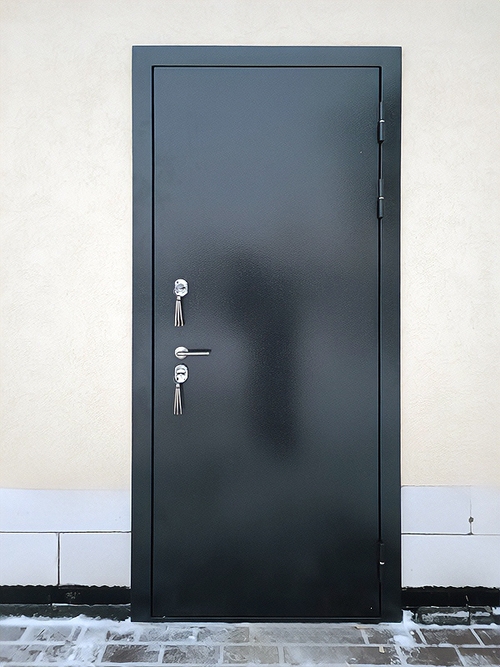 Дверь с полимерной покраской