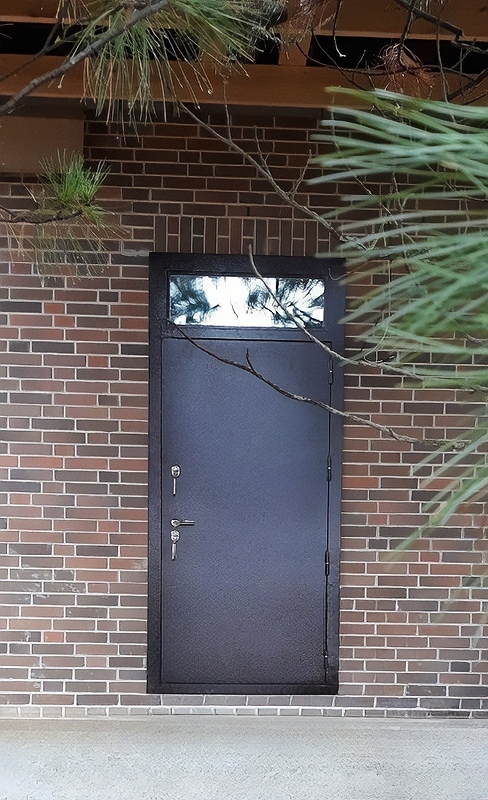 Порошковая дверь с фрамугой