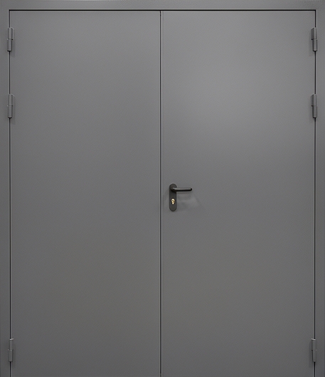 Противопожарная равностворчатая дверь серого цвета Противопожарная равностворчатая дверь серого цвета