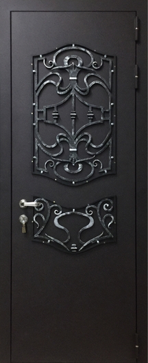 Дверь с порошковым покрытием и кованым декором