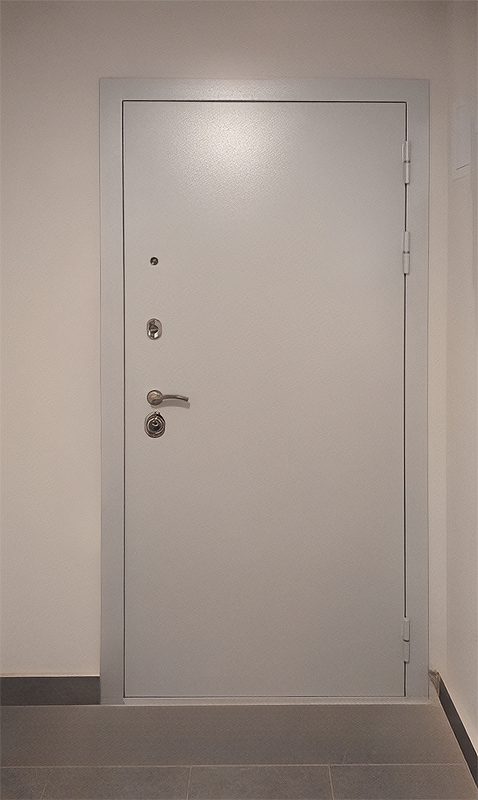 Порошковая дверь в квартиру