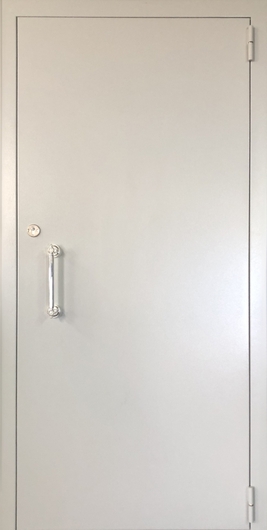 Однопольная техническая дверь с ручкой-скобой