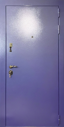 Однопольная входная дверь с покраской по RAL