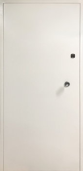 Техническая дверь со скрытыми петлями и ручкой-грибком